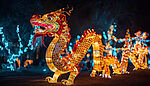 csm_All_luck_comes_from_relentless_effort_-_an_interview_with_Shuai_Cao_02_ea3f4d9646