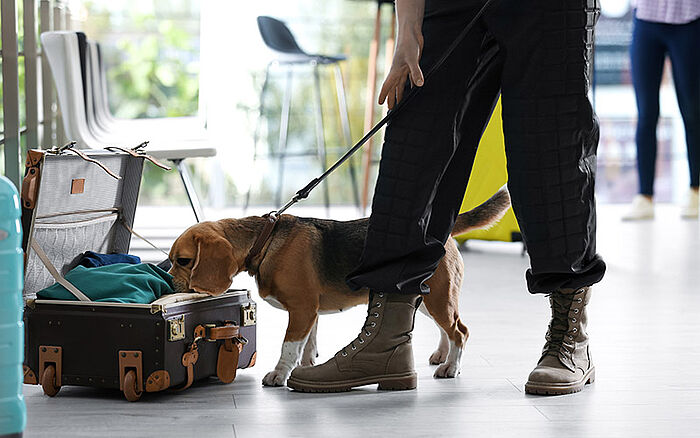 csm_Examining_seizure_measures_a_comparative_analysis_of_Belgian_procedures_and_the_Unified_Patent_Court_framework_04_8f8db57911