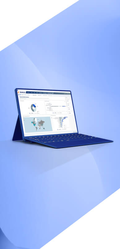 Streamlined renewal process Renewal process