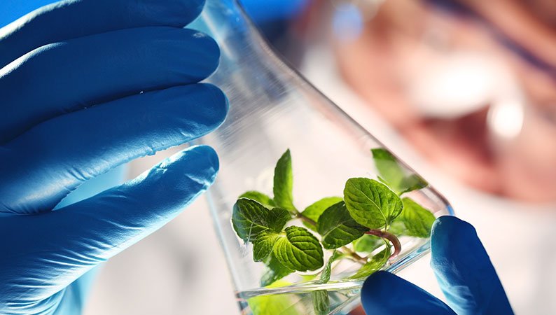 SPCs-and-new-developments-in-the-biotech-sector02